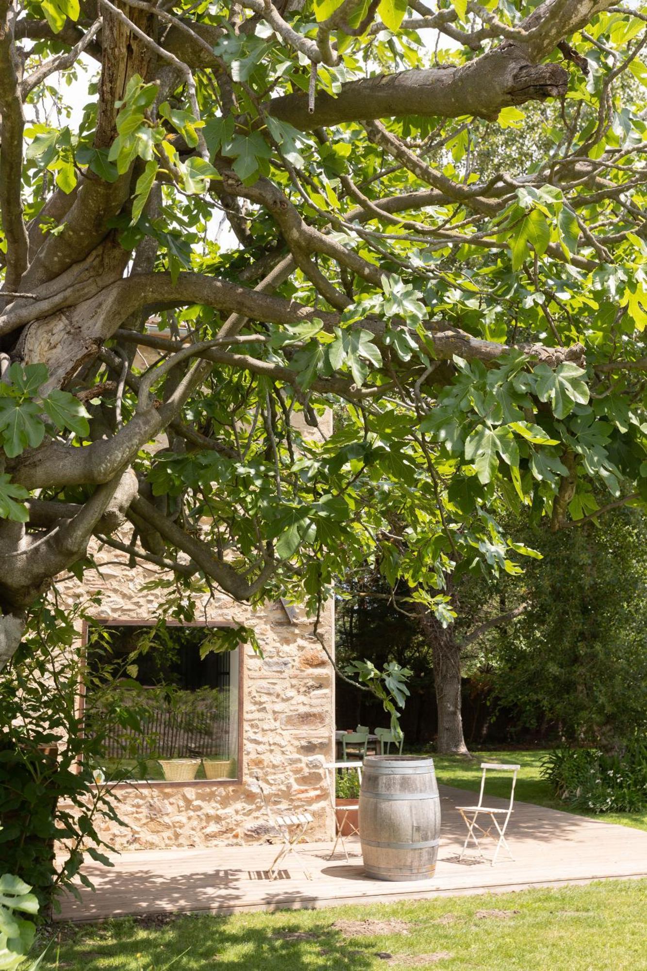 La Bergerie Villa Argeles-sur-Mer Exterior photo
